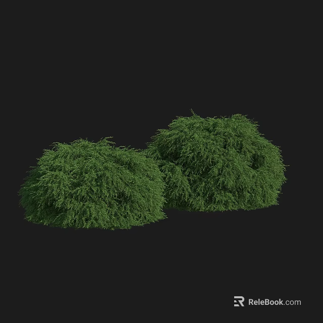 Two Lush Green Bushes With Dense Foliage On Black Background 3d model 