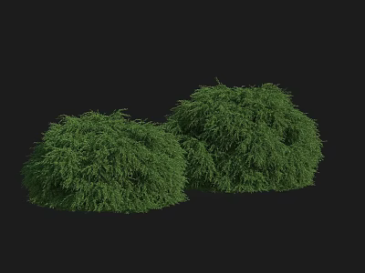 Two Lush Green Bushes With Dense Foliage On Black Background 3d model