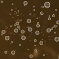 Round Transparent Bubbles Floating On Brown Background With Small Colorful Particles