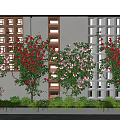 Lush Flowering Vines With Red And Pink Blooms On Building Exterior Walls