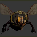 Detailed 3D Rendered Bee Model With Yellow Black Stripes And Transparent Wings