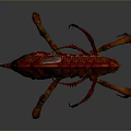 Red And Orange Insect With Chitinous Exoskeleton Long Legs And Textured Wings