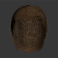 Human Head Organ With Brown Hair Structure And Texture In 3d model