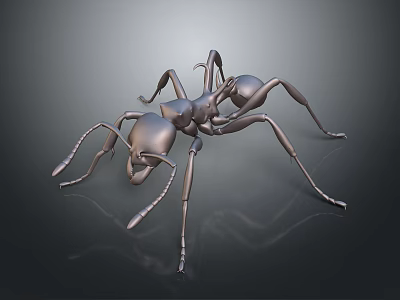 Detailed Metallic Silver Ant Model Displayed On Dark Background With Reflection 3d model