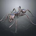 Detailed Metallic Silver Ant Model Displayed On Dark Background With Reflection