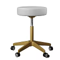 Modern Medical Equipment for Beauty Treatment with Treatment Bed Exam Lamp and Trolley