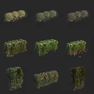 hedgerow shrub ball hedgerow plant wall 3d model
