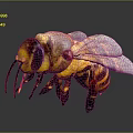 3D Rendered Colorful Winged Bee With Yellow Black Stripes And Detailed Body