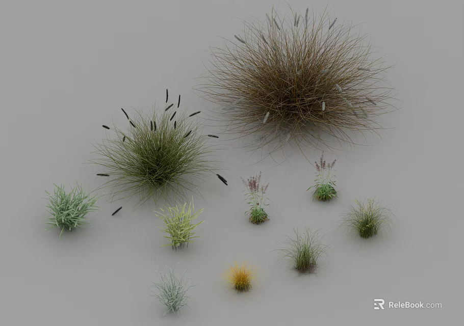 Diverse Ornamental Grasses and Small Colorful Plants in Various Shapes and Sizes 3d model 