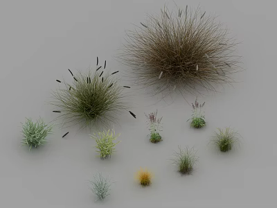 Diverse Ornamental Grasses and Small Colorful Plants in Various Shapes and Sizes 3d model