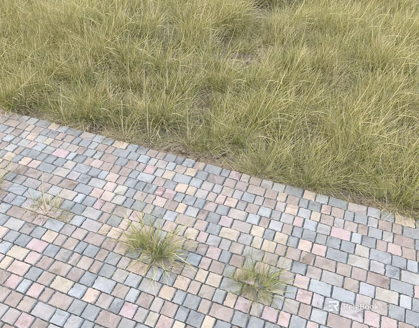 Lush Green Grass Growing Beside Colorful Brick Paved Path in Garden 3d model 