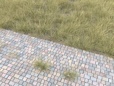 Lush Green Grass Growing Beside Colorful Brick Paved Path in Garden 3d model