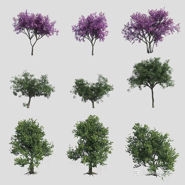 Various Arbor Tree Types With Purple Flowers And Lush Green Foliage For Landscaping 3d model 