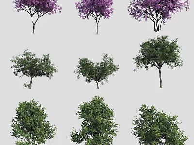Various Arbor Tree Types With Purple Flowers And Lush Green Foliage For Landscaping 3d model