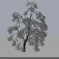 Beautiful Snow Covered Arbor Featuring Frosted Branches Against Gray Background In Winter