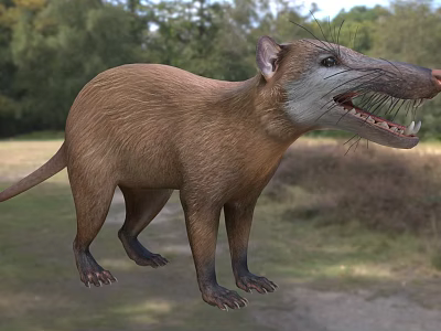 Brown Scaly Reptile With Long Tail And Sharp Claws In Forest Habitat 3d model Brown Scaly Reptile With Long Tail And Sharp Claws In Forest Habitat 3d model