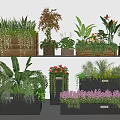 Beautiful Plant Combination With Various Green And Flowering Plants In Wooden Boxes And Pots
