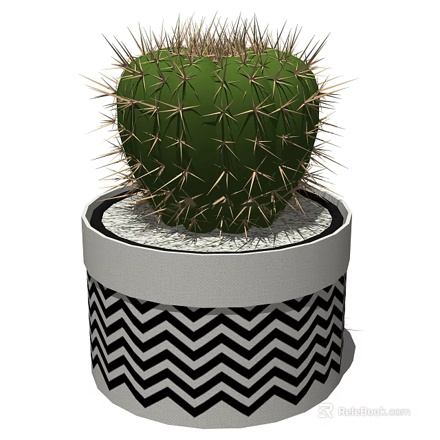Green Spiky Cactus Potted Plant In Cylindrical Pot With Black And White Zigzag Pattern 3d model 
