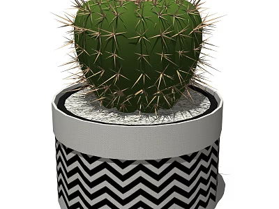 Green Spiky Cactus Potted Plant In Cylindrical Pot With Black And White Zigzag Pattern 3d model