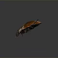 Close Up View Of Brown Beetle With Smooth Shell And Six Legs On Dark Background