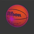 Wilson EVO NXT Official National Basketball Association Professional Sports Equipment Basketball