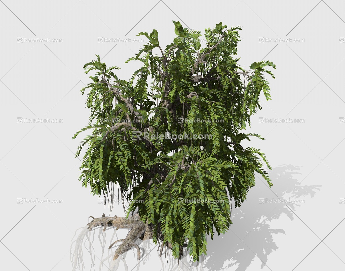 Modern Tree Plants 3d model