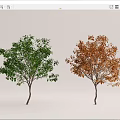 Modern Tree Landscape Tree 3d model