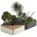 Modern Landscape Seating With Concrete Structure And Wooden Surface Surrounded by Tropical Trees and Shrubs