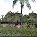 Scenic Commercial Street With Pedestrians Benches Palm Trees And Lush Greenery