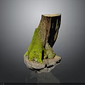 Natural Wooden Tree Stump Decorative Piece With Stone Base And Green Moss Texture