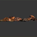 Modern Crab Sea Crab Starfish Shell 3d model