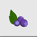 Healthy Fresh Purple Berries With Three Plump Fruits And Green Leaves