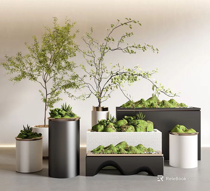 Bonsai Potted Plants With Green Foliage In Various Planters And Moss Decor 3d model 