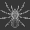 Brown Reptile Model With Detailed Legs Displayed On White Background Surface