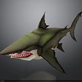 Cartoon Shark 3D Model With Open Mouth Sharp Teeth And Green Gray Body Red Accents