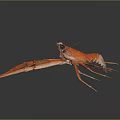 Detailed Red Lobster with Long Antennae Claws and Legs on Dark Reflective Surface