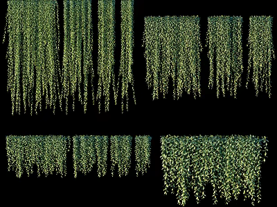Cascading Green Vines in Various Decorative Styles for Indoor Outdoor Decor 3d model