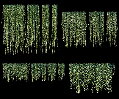 Modern Vine Green Vine 3d model