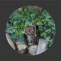 Small Decorative Landscape with Stone Lion Statue Green Plants and Natural Stones for Indoor Tabletop