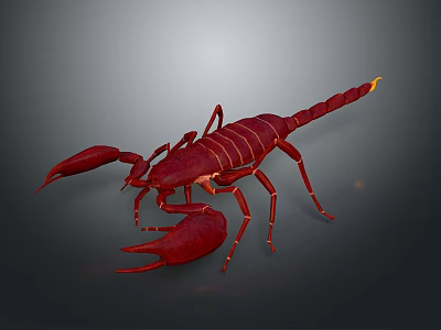 Realistic Detailed Vibrant Red Scorpion With Large Pincers Segmented Body And Curved Tail 3d model