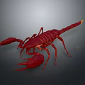 Realistic Detailed Vibrant Red Scorpion With Large Pincers Segmented Body And Curved Tail
