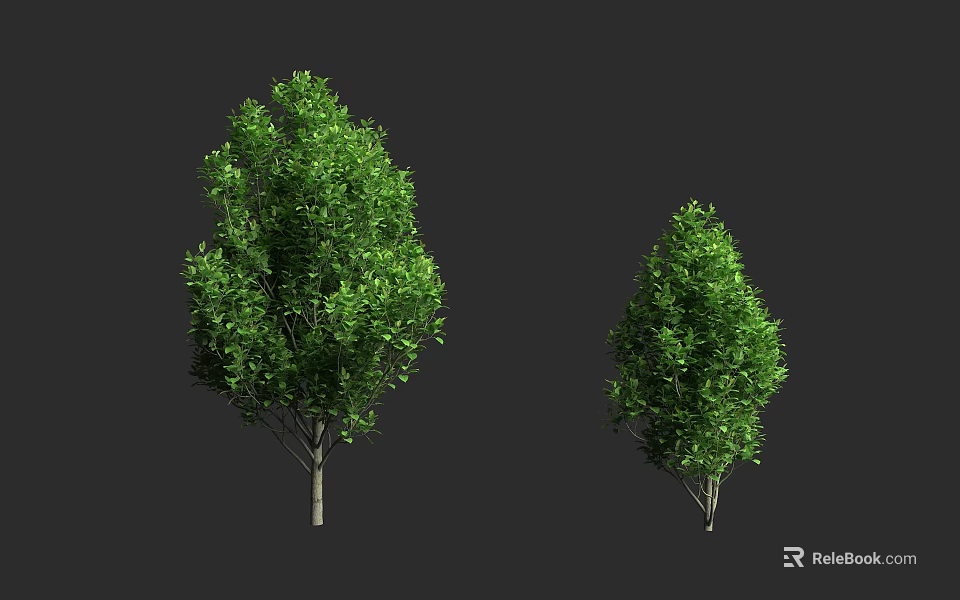 Two Green Trees With Different Sizes And Lush Foliage On Gray Background 3d model