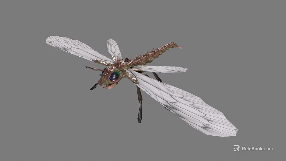 Detailed Dragonfly With White Transparent Wings Colorful Eyes And Brown Green Body In Flight 3d model 