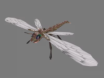 Detailed Dragonfly With White Transparent Wings Colorful Eyes And Brown Green Body In Flight 3d model