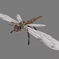Detailed Dragonfly With White Transparent Wings Colorful Eyes And Brown Green Body In Flight