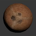 Brown Coconut with Textured Surface on Dark Background Showing Reflection 3d model