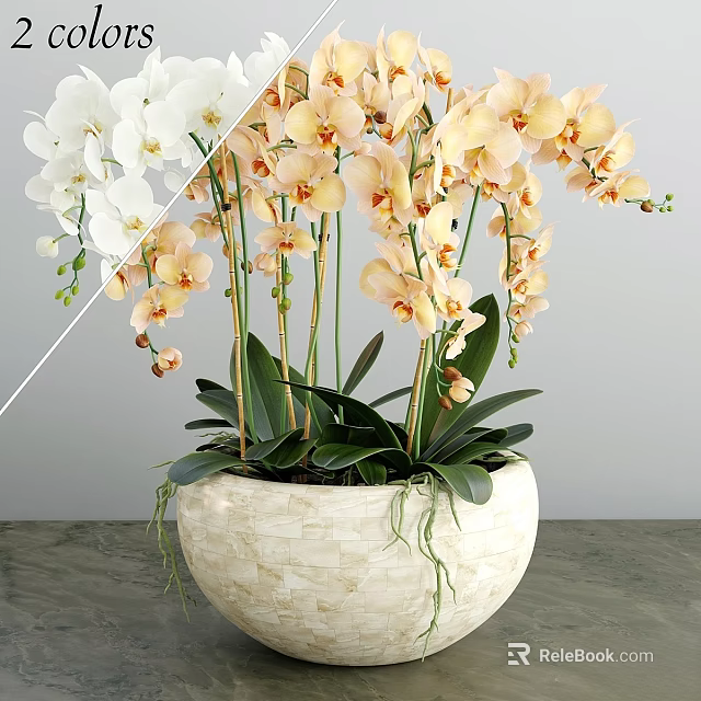 Decorative Ornament Set With White And Orange Orchids In Beige Stone Flower Pot 3d model 
