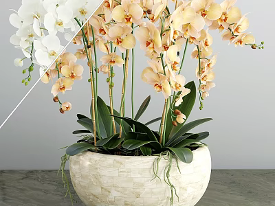 Decorative Ornament Set With White And Orange Orchids In Beige Stone Flower Pot 3d model