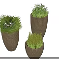 Varied Plant Combination With Palm And Herb Plants In Woven Brown Planters
