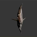 Orange Spotted Flatfish With Fresh Appearance And Flat Body On Dark Background
